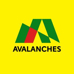 The Avalanches