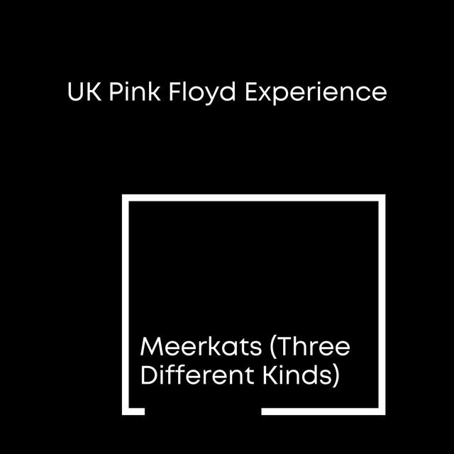UK Pink Floyd Experience Ipswich
