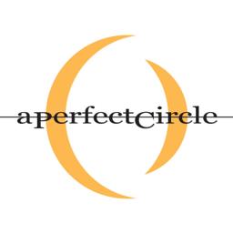 A Perfect Circle